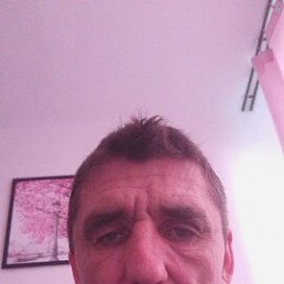 , 45, 