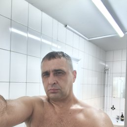 ���� �������, ������, 48 ��� - ��������� 17 ������� 2026
