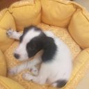 ���� ������, ������, 44 ���� - ��������� 3 �������� 2025 � ������ ���� ����������