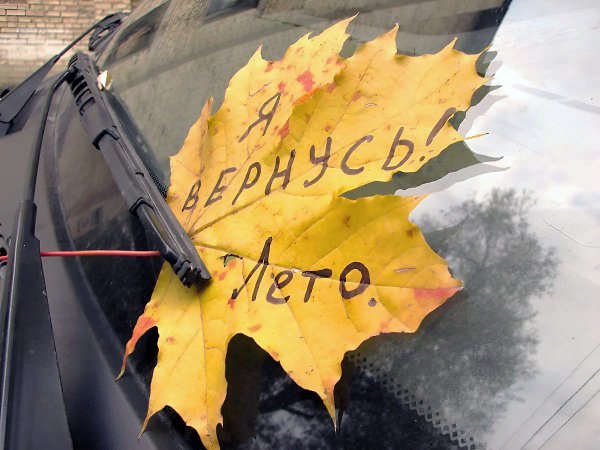Сергей - 31 августа 2025 в 16:03