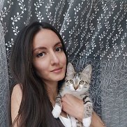 ����, 27 ���, ����������