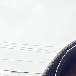 ������, �����������, 35 ���