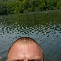 , 40,  