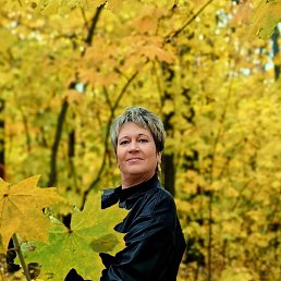 ��������, ���������, 53 ����