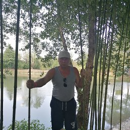 �������, 53 ����, �����-���������