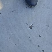 , 47 , 