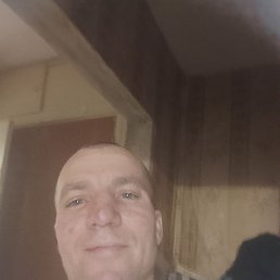 ����, 41 ���, ���������