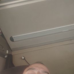 , 41, 