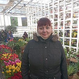 , 40, 