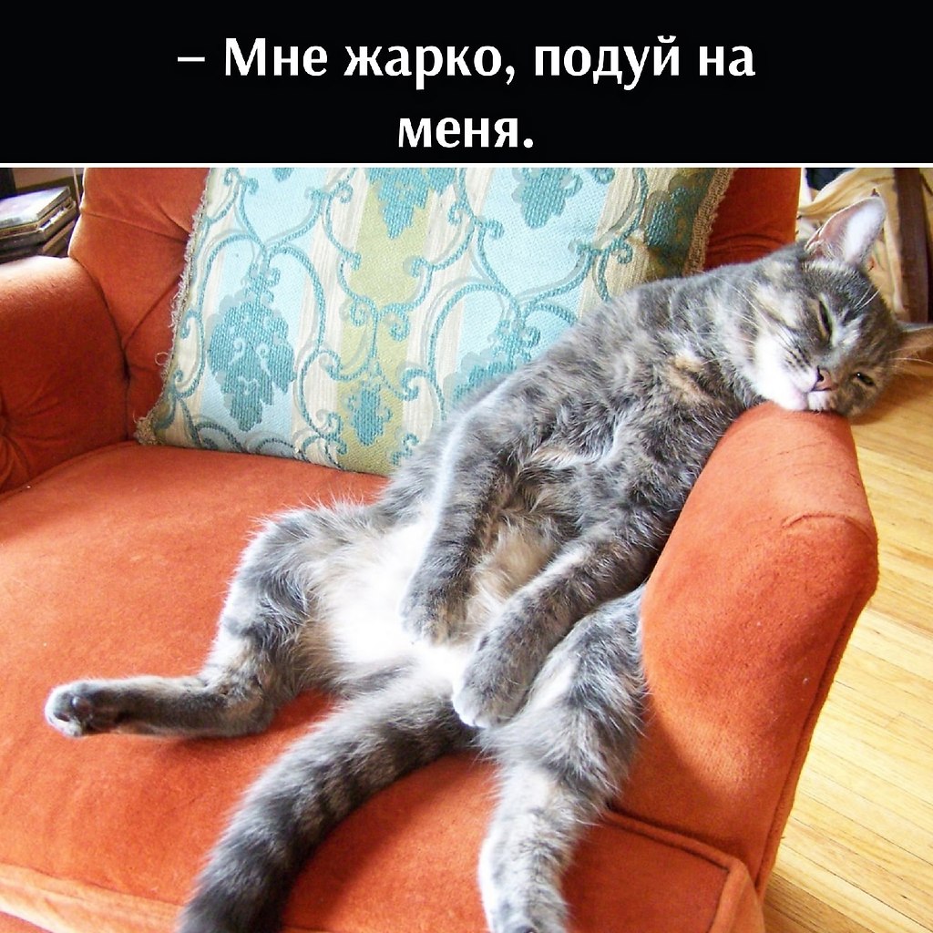       - 5  2025  13:24 - 2