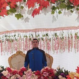 Javohir, �����, 26 ���