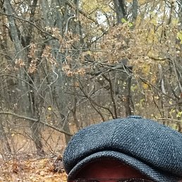 ���������, ������, 53 ����