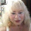 ���� ����, �����������, 41 ��� - ��������� 5 ������ 2026 � ������ ���� ����������