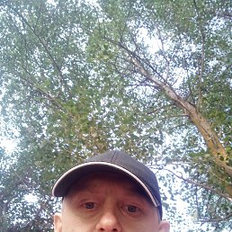 , 39, 