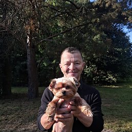, 62, 