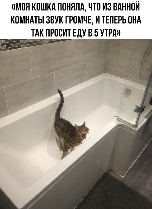 ***Victoria Viktorovna*** - 29  2025  05:49