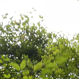 , , 36 