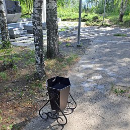 �������, ������, 36 ���