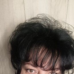 �����, ��������, 54 ����