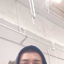 ���� �����, ����, 46 ��� - ��������� 5 ����� 2026