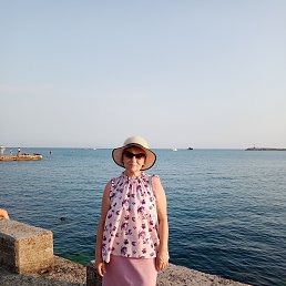 ���� �����, ���� - ��������� 15 ������ 2024