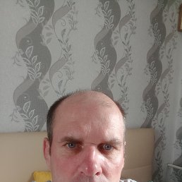 , 44, 