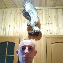 ������, ��������, 39 ���