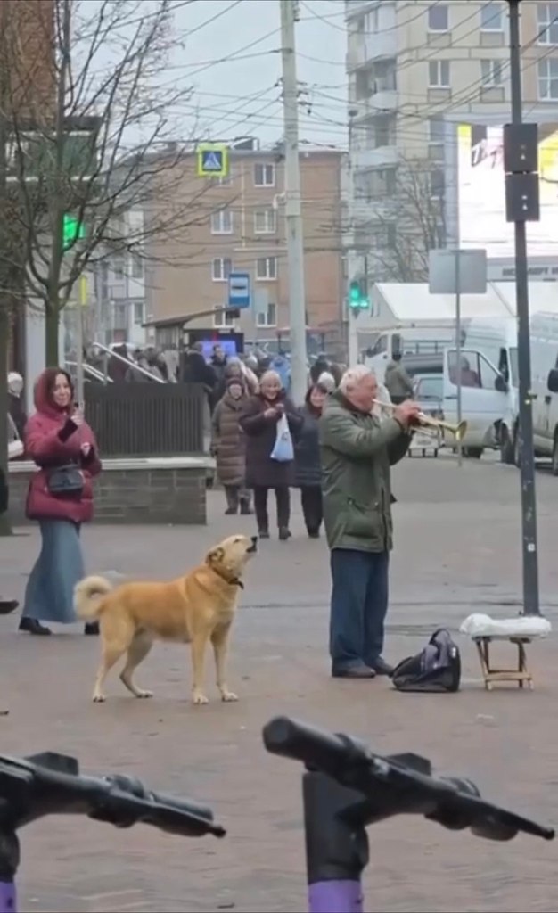 ea oa o: c  apaa pe oe o a     oc ... - 2