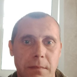 , 41 , 