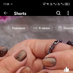 , , 31 