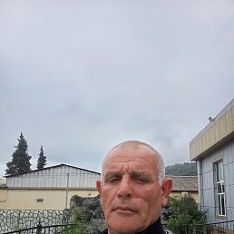 �����, 49 ���, ���������