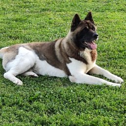 ����, ������, 62 ����