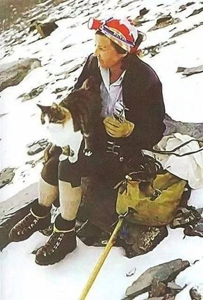 :) Швейцарский кот-альпинист Томба.Среди пушистых мурлык есть свои герои. Один из них — ... - 4