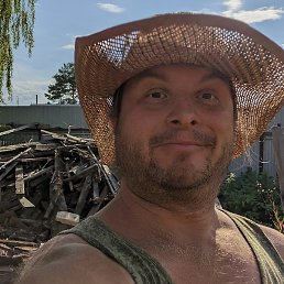 ���� A.t., ������, 41 ���