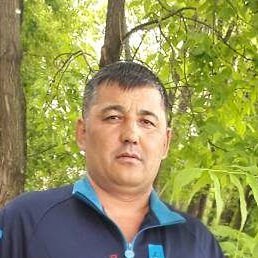 ����, ���������, 50 ���