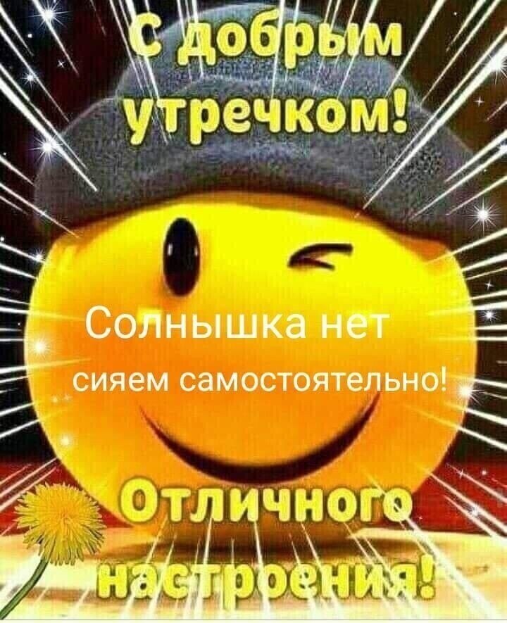   - 29  2025  11:21