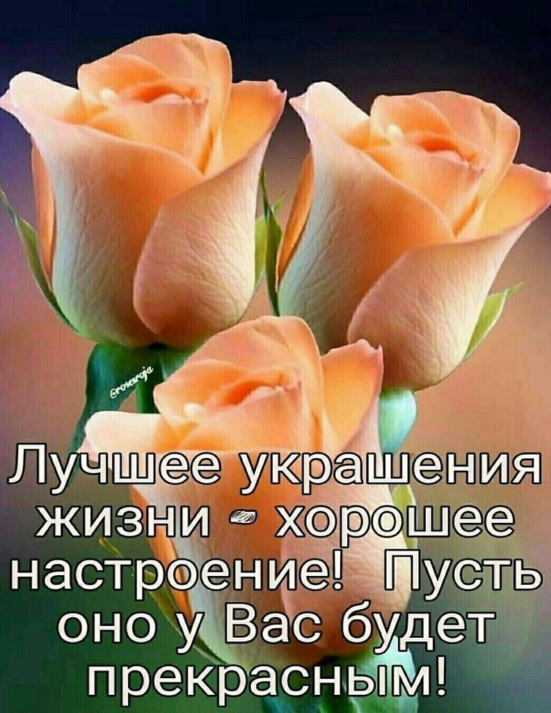   ! - 1  2025  08:14