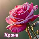 ���� �������� ( �� �������� ��), ��� - ��������� 16 �������� 2025 � ������ ������ ��������