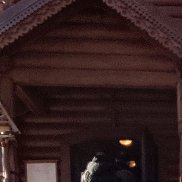 ��������, 49 ���, ������