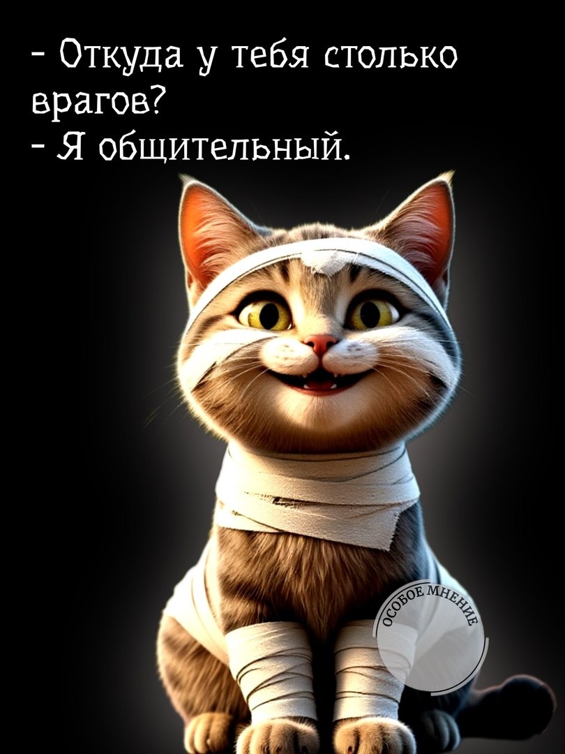  - 3  2025  11:32