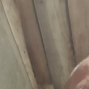 , 42 , 