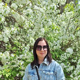 ���� ���, ������, 43 ���� - ��������� 4 ����� 2026