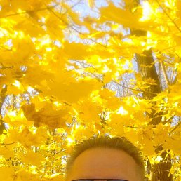 ���� ������, �����, 62 ���� - ��������� 24 ������ 2024