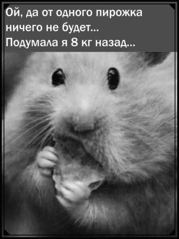  - 7  2025  14:19