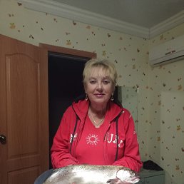 ���� �����, �����, 58 ��� - ��������� 9 ������ 2026