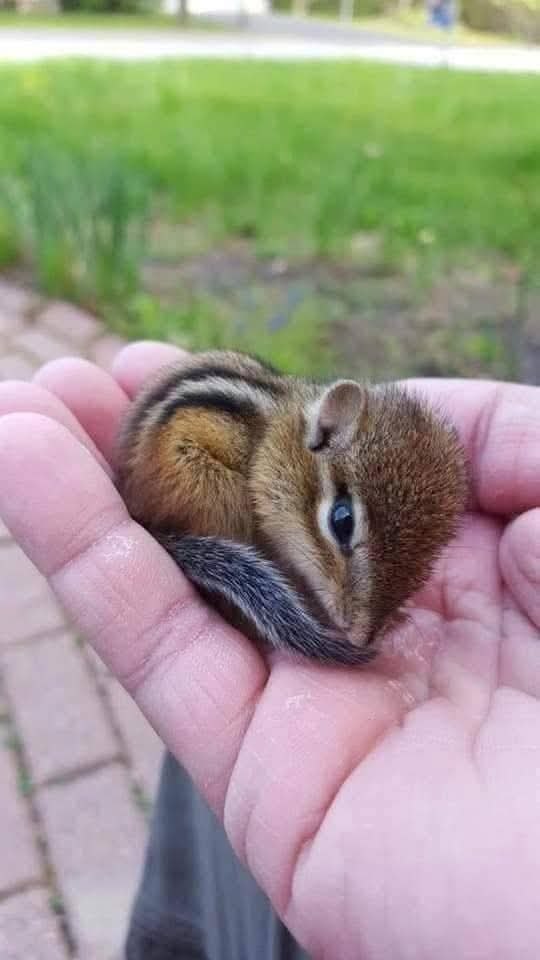 :)   .