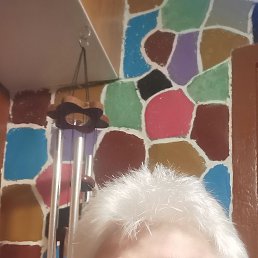  , 66, 