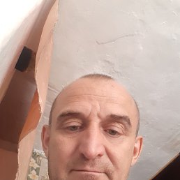 , 44, 