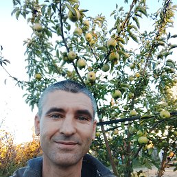 ���� �������, �������, 38 ��� - ��������� 5 ������ 2025