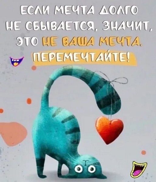   - 17  2025  17:34